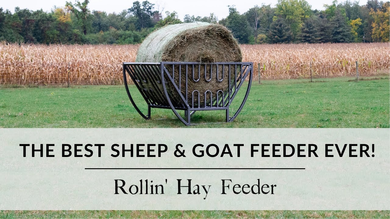 The Best Sheep and Goat Feeder You've Never Seen | Rollin' Feeder