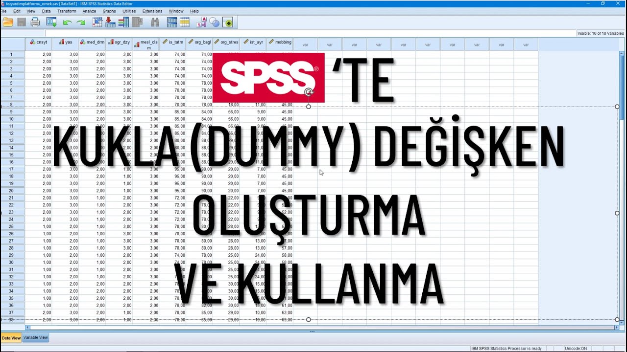 SPSS'te Kukla (Dummy, Sahte) Değişken Oluşturma ve Kullanma