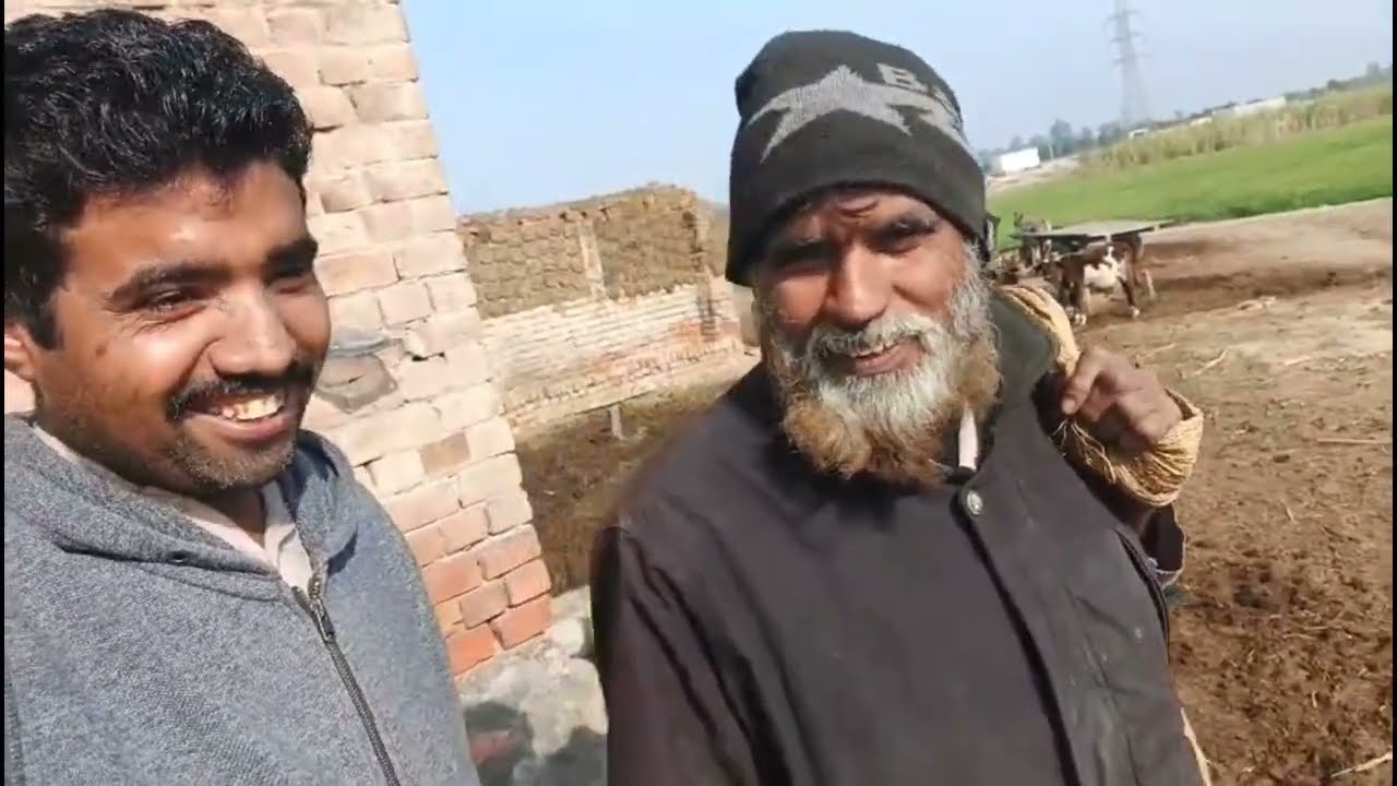 Aakhir Gaon ki Zindagi Itni Sukoon Wali Kyun Hoti Hai? 🤔 #villagelife #vlog #1.4k views 