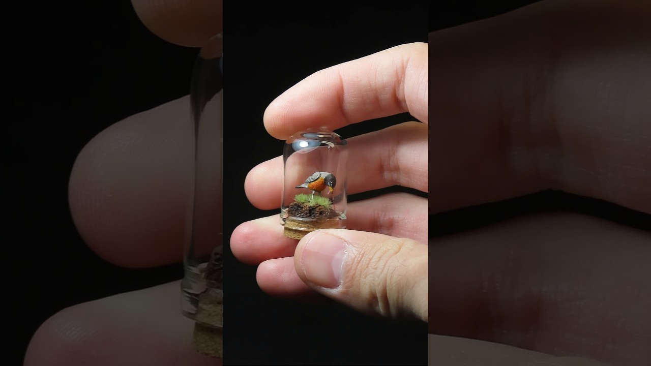 Tiny Robin 🐦‍⬛ 