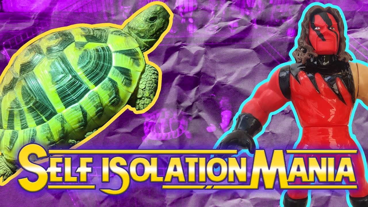 SELF ISOLATION MANIA - KANE vs MY PET TORTOISE