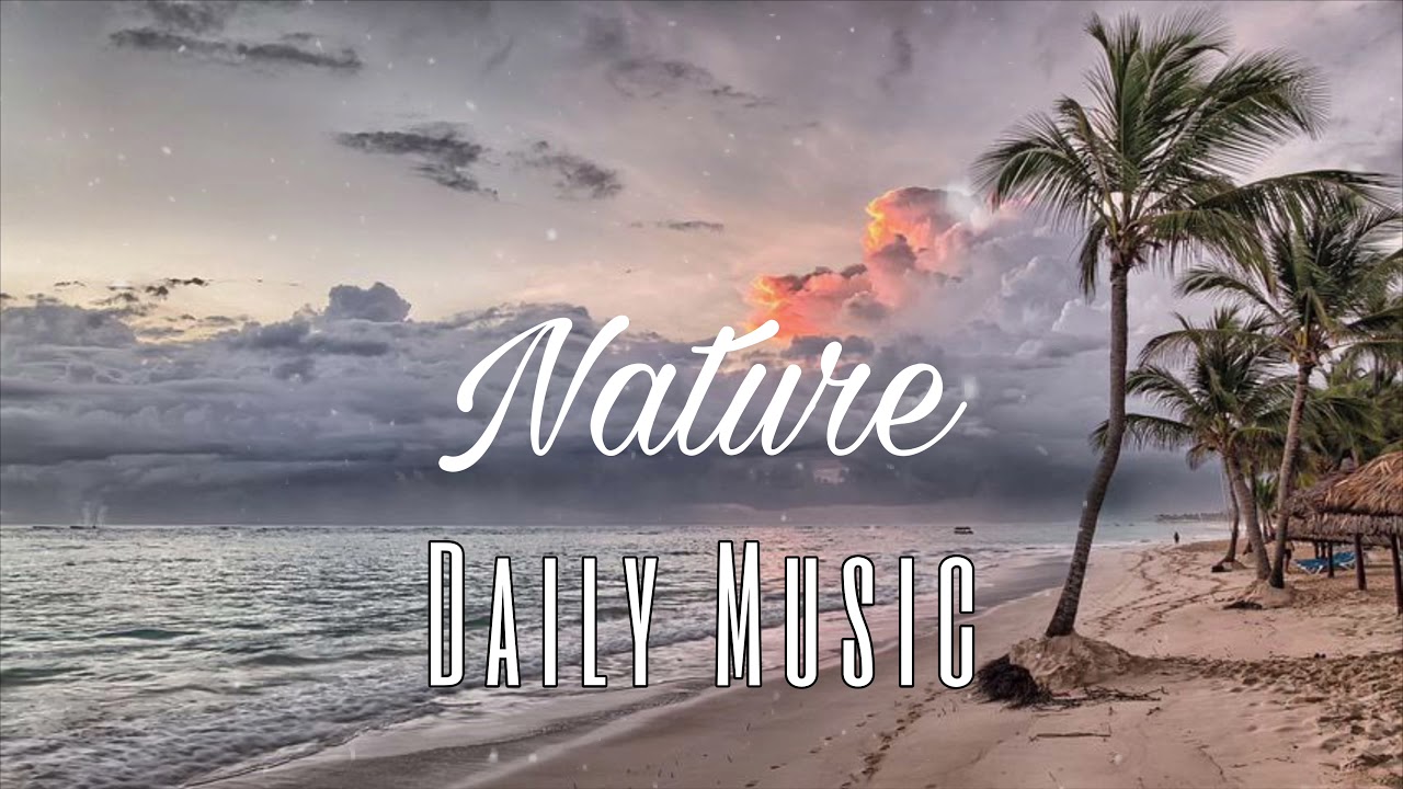Jarico - Island [Daily Music]