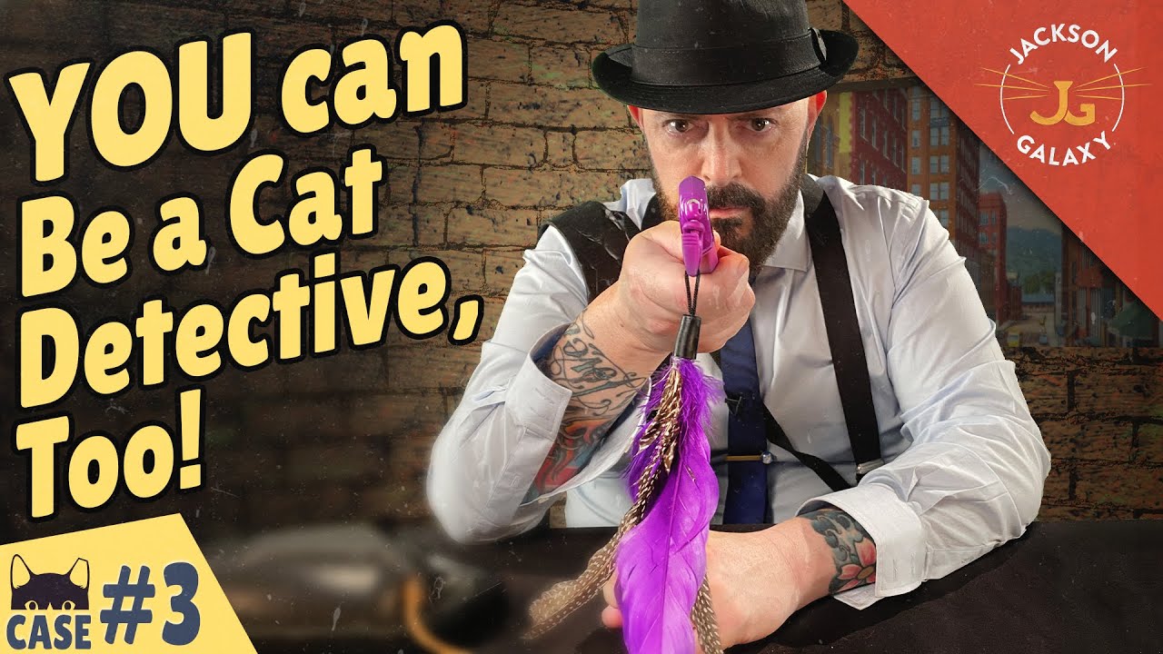 Cat Problem Solving: How to Be a Cat Detective