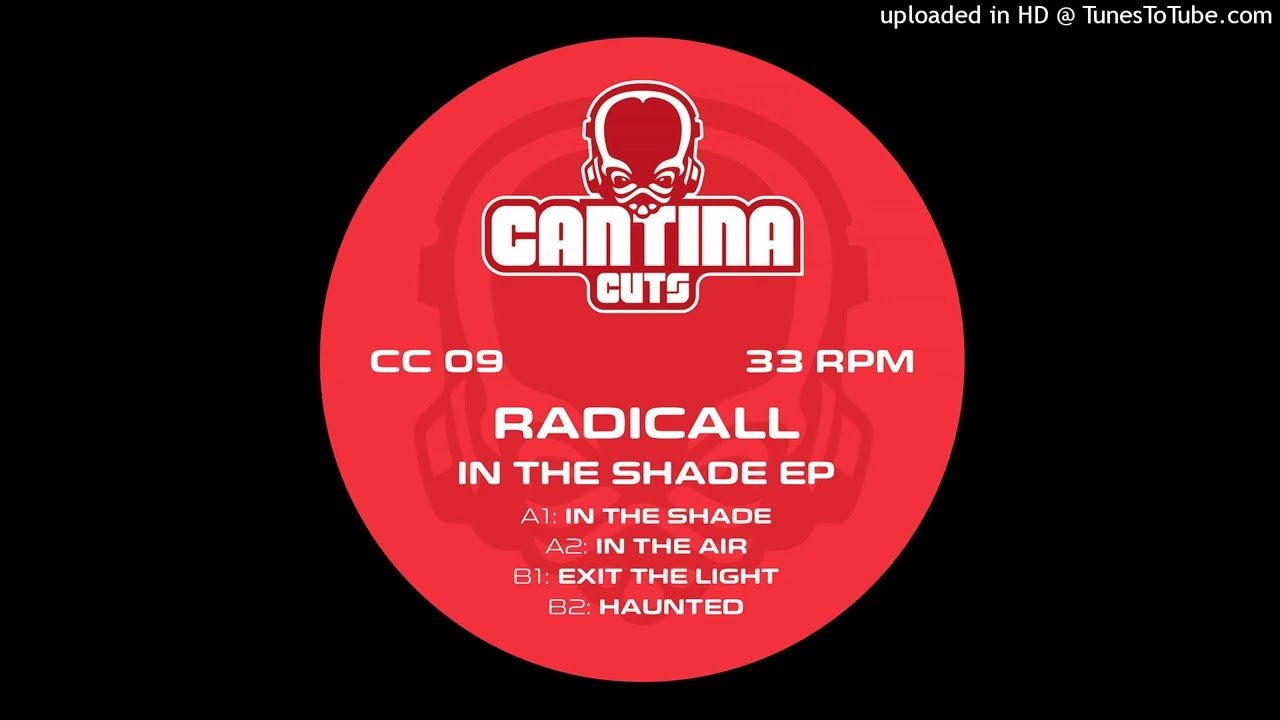 Radicall - In The Air