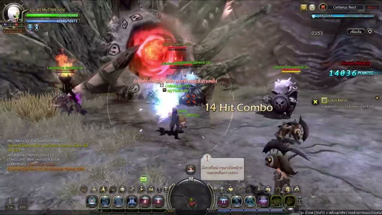 CERBERUS NEST 9MINUTE PALADIN SOLO(NODEATH) - DN Classic