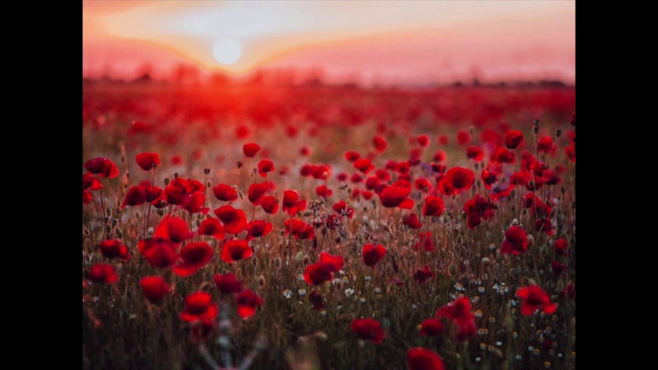 Remembrance Sunday - The Last Post and 2 mins silence
