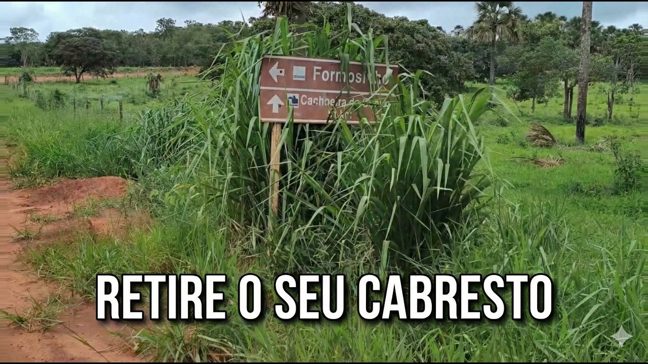 Viagem Para Paraúna Dia 1 - Riacho formosinho - Retire o seu cabresto.