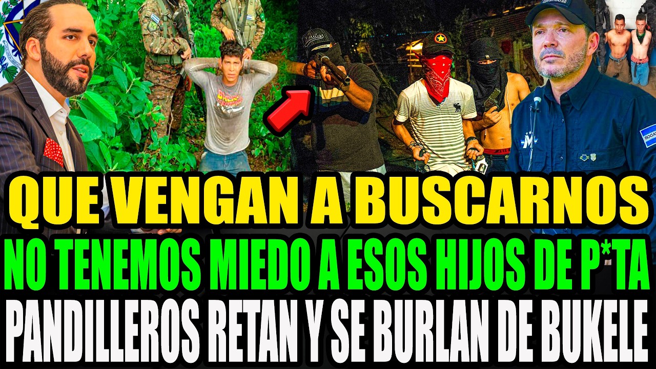 CAYÓ 
