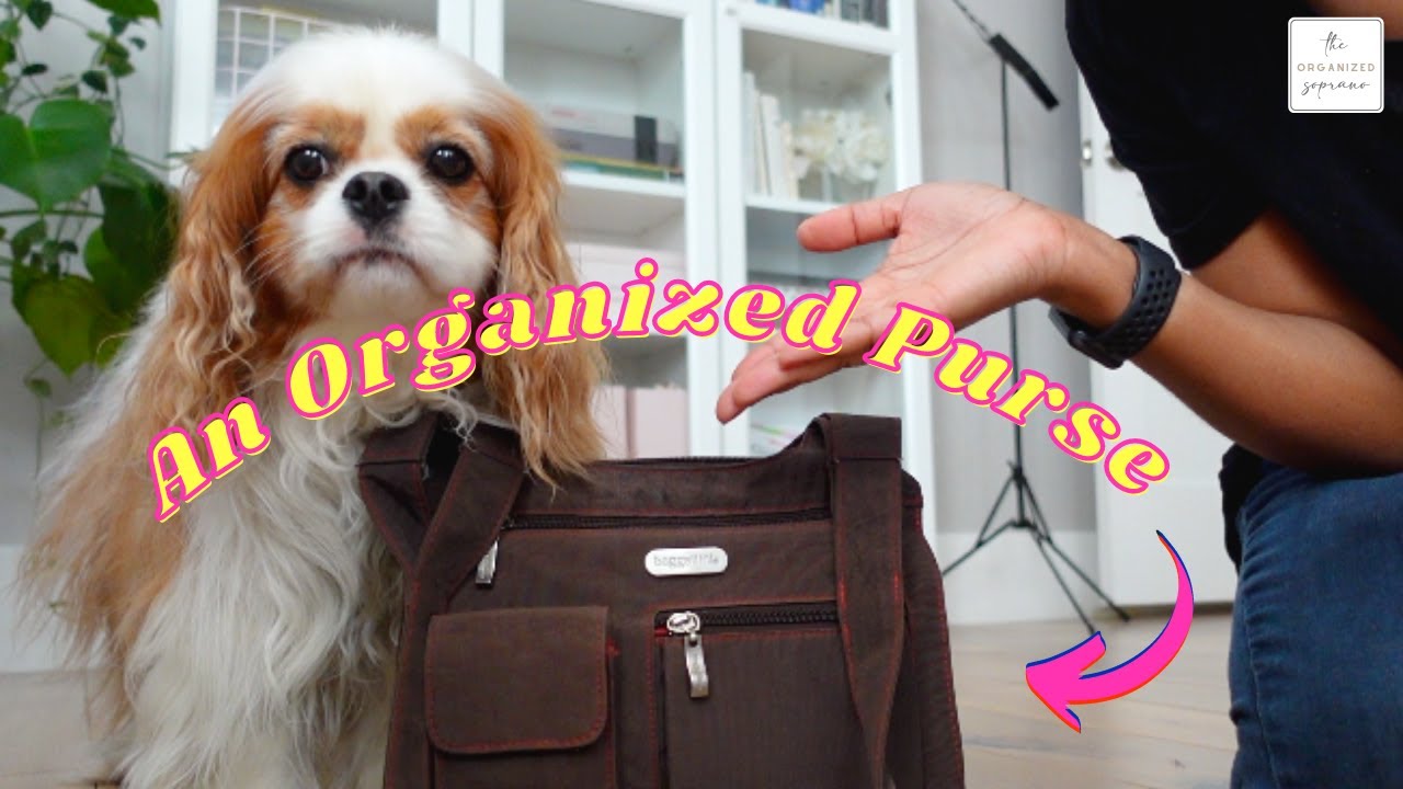 Purse Organization For The New Normal 🦠