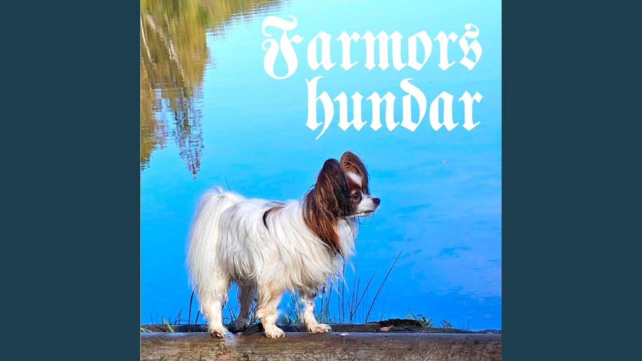 Farmors hundar