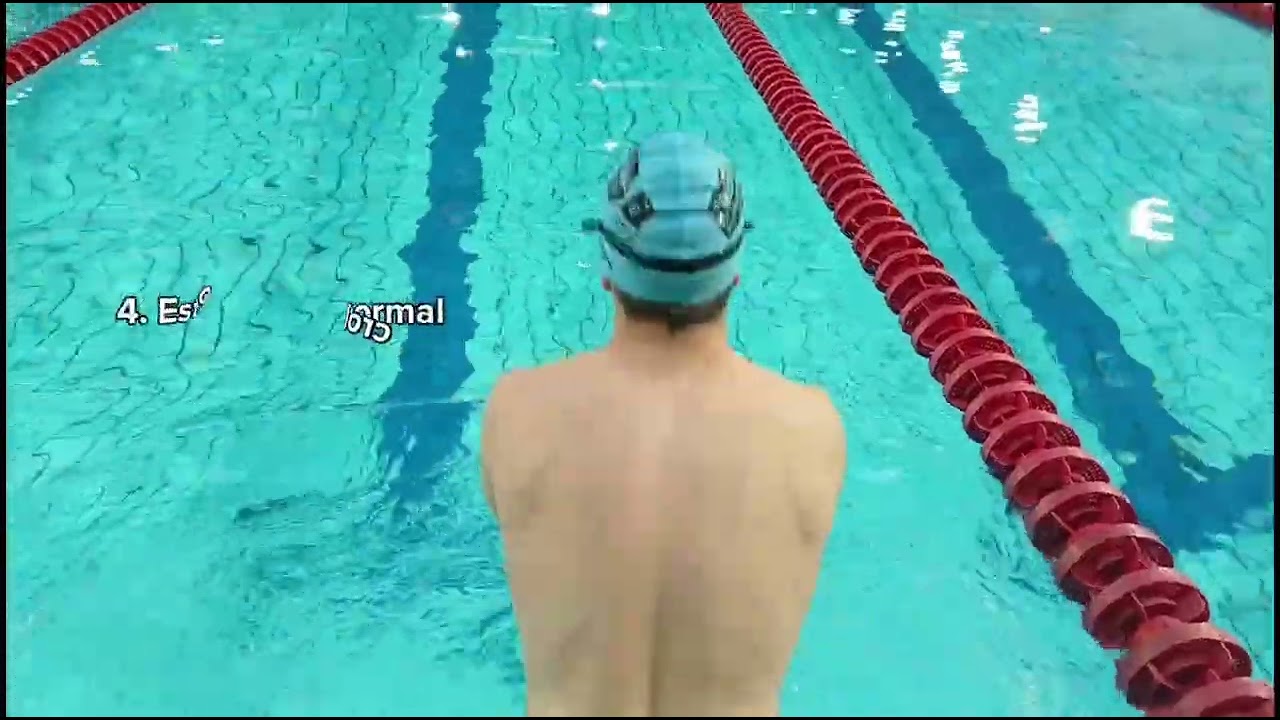 Elementos Básicos de Natación 