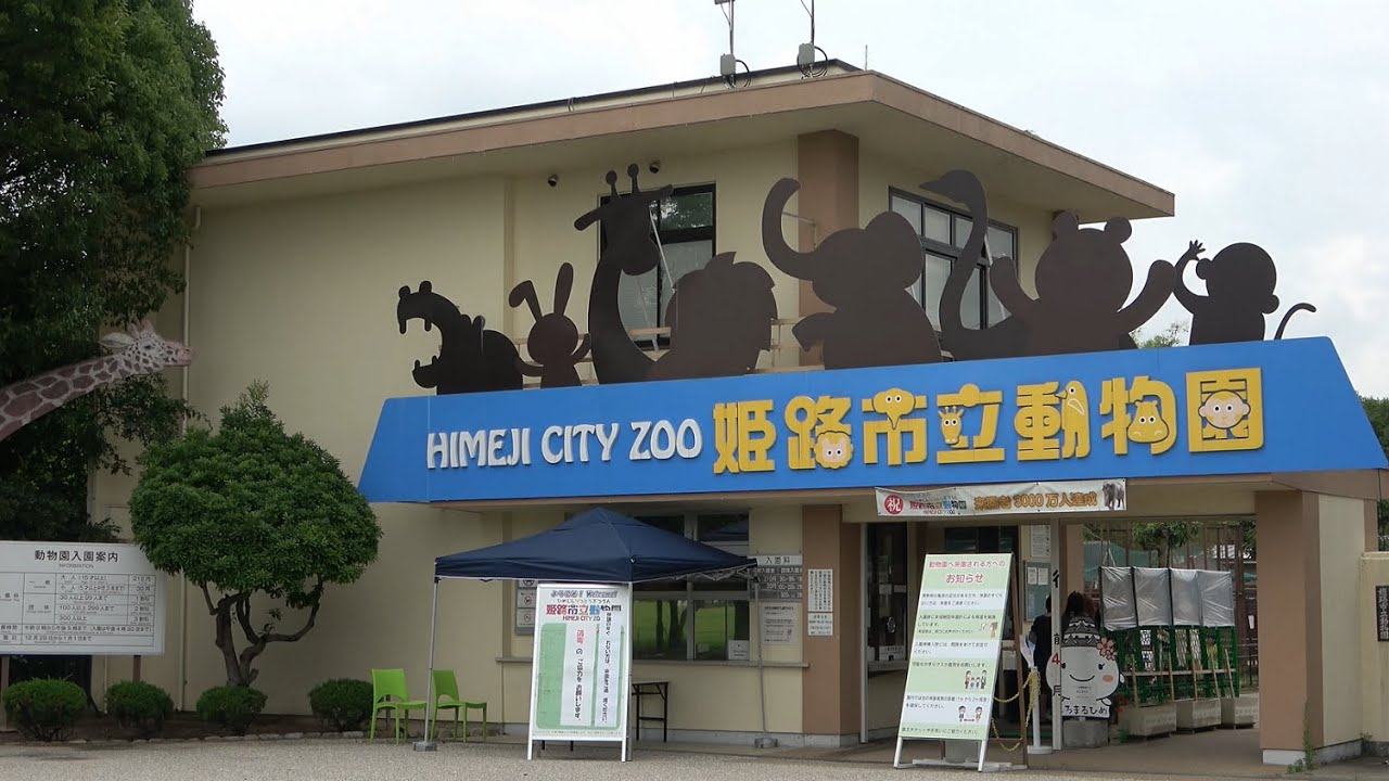 ⁴ᴷ 【姫路市立動物園/2020】7/5(日)