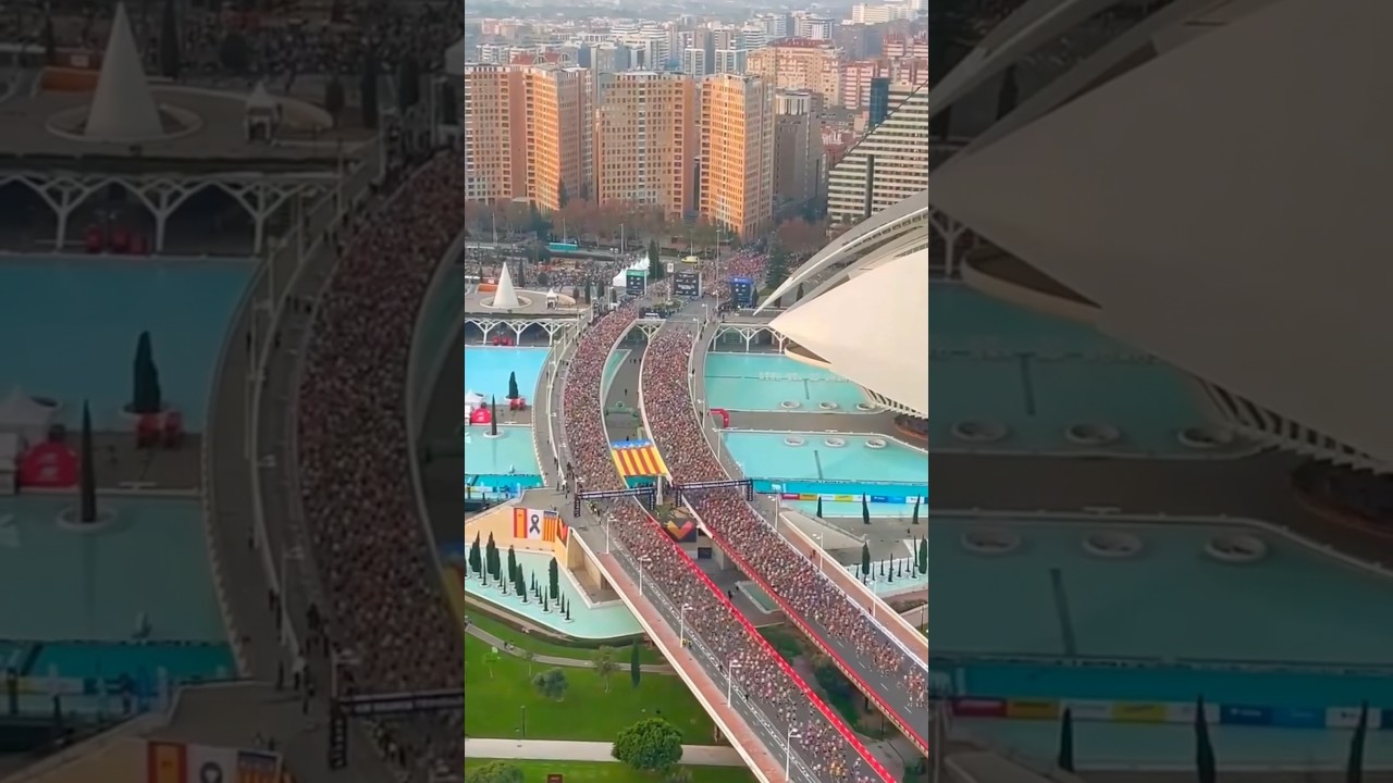 Valencia Marathon 2024 ❤️ #maratonvalencia #running #marathon #maratona #runner #run #runners
