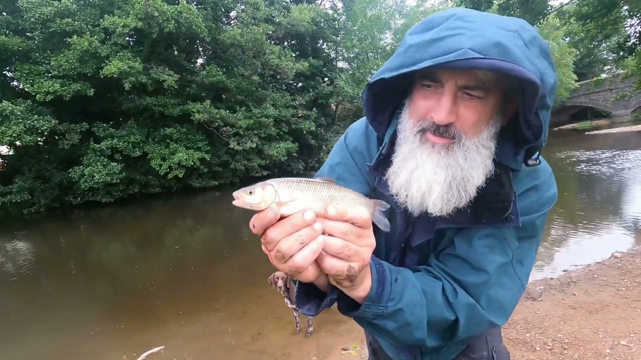 The river culm chub