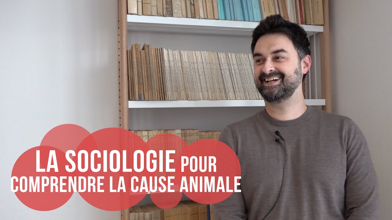 La sociologie pour comprendre la cause animale