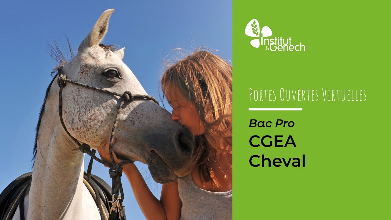 REPLAY - Présentation du Bac Pro CGEA Cheval - 10 avril 2021