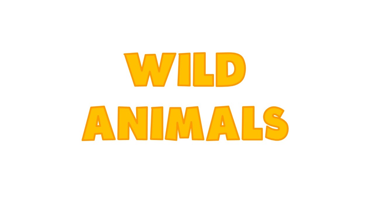 WILD ANIMALS VOCABULARY  |  LOS ANIMALES SALVAJES  VOCABULARIO
