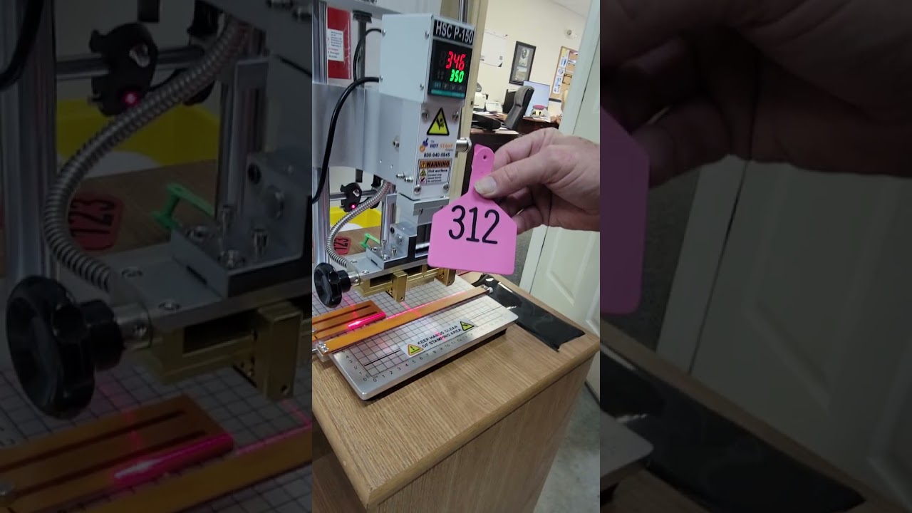 Hot Stamping Cattle Tags with the HSCP-150 Hot Stamping Machine.