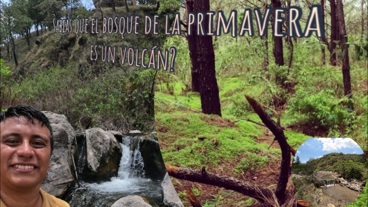 Bosque de la primavera/Río caliente/Como llegar en transporte público. 🚌
