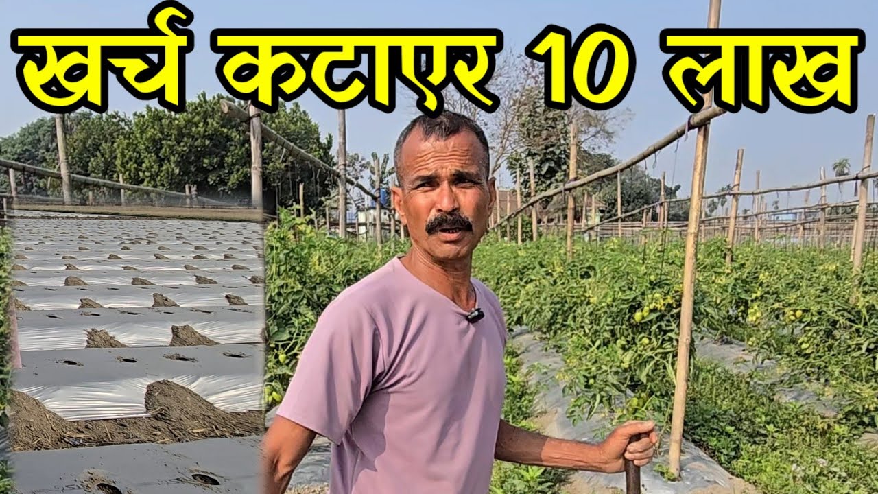 सबै खर्च कटाउदा पनि दश लाख मज्जाले कमाउन सकिन्छ।सबै तिर डुबेपछी तरकारी खेती vegetable  farming