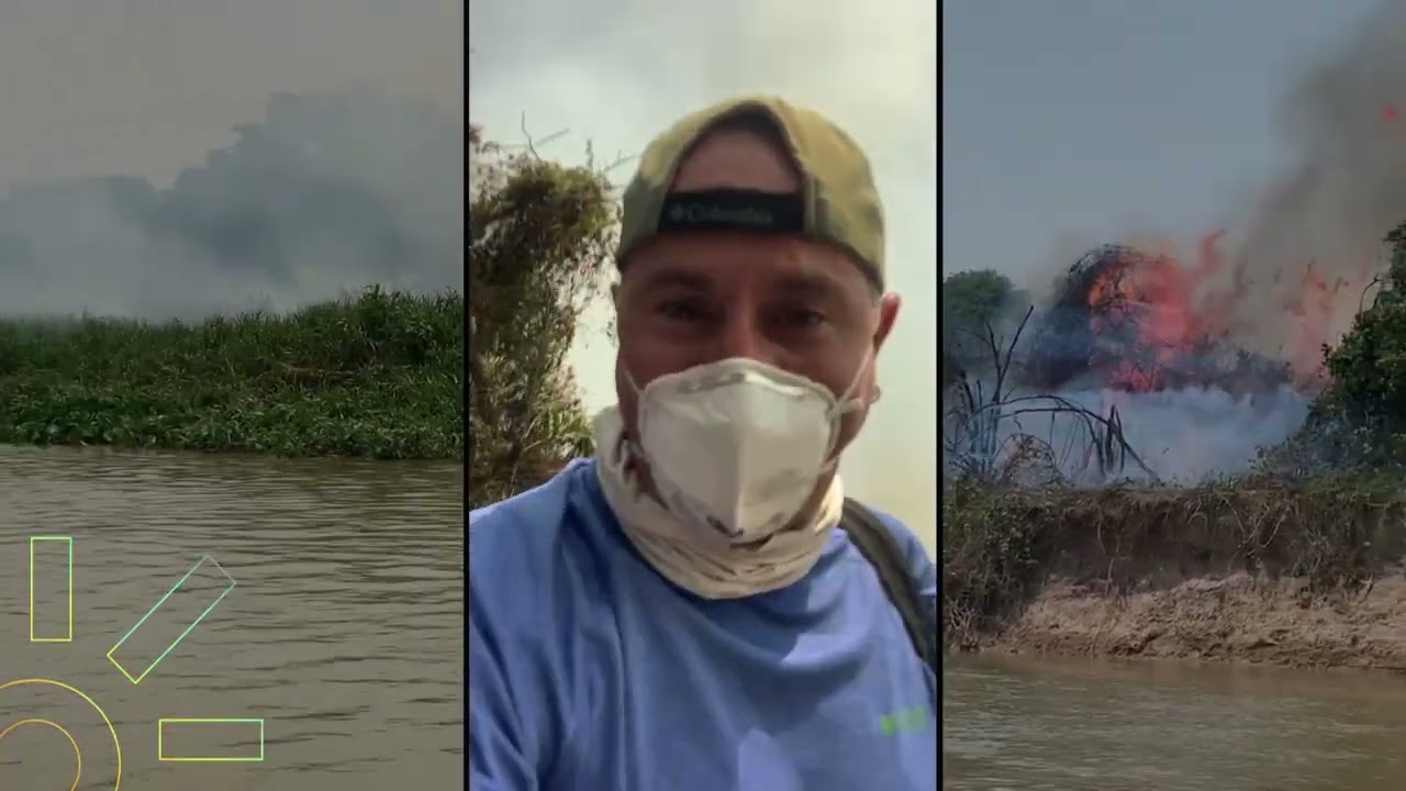 Assista na ClaroTV+ Jaguaretê - Avá Pantanal em Chamas em Agosto  | Claro