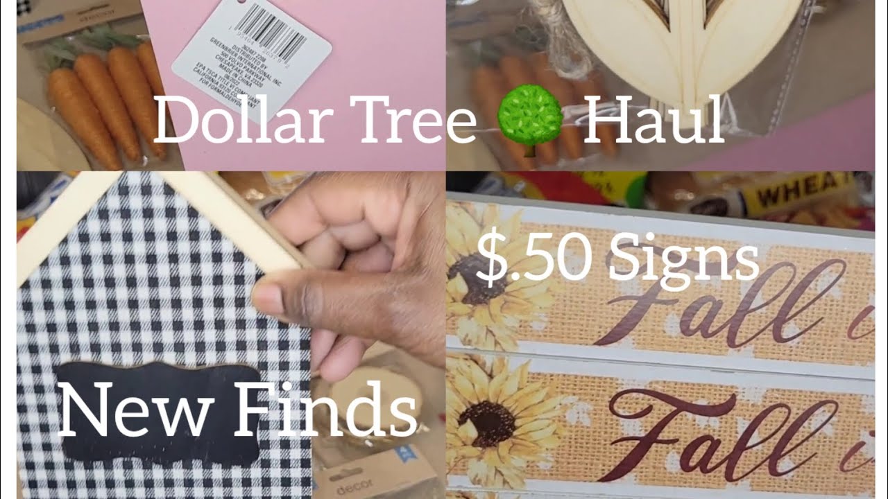 New Finds at Dollar Tree 🌳 #dthaul #newfinds