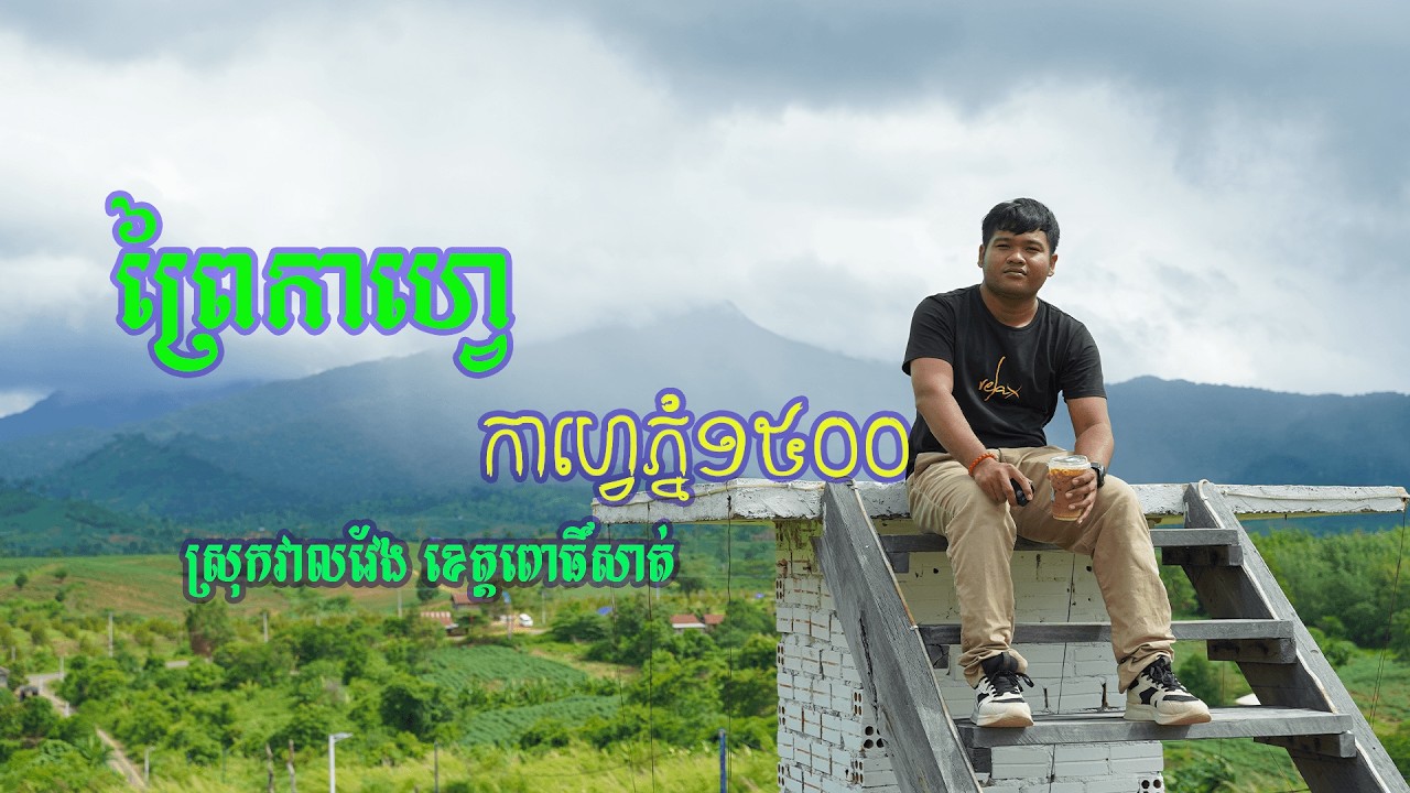 មកសាកកាហ្វេនៅព្រៃកាហ្វេ និងកាហ្វេភ្នំ១៥០០ អមជាមួយទេសភាពស្រស់ស្អាតជើងភ្នំ១៥០០ Phnom1500