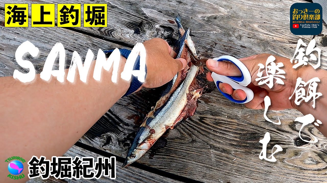 【海上釣堀】サンマを喰わす 編集最小限のノーカット実釣映像シリーズ　 釣堀紀州