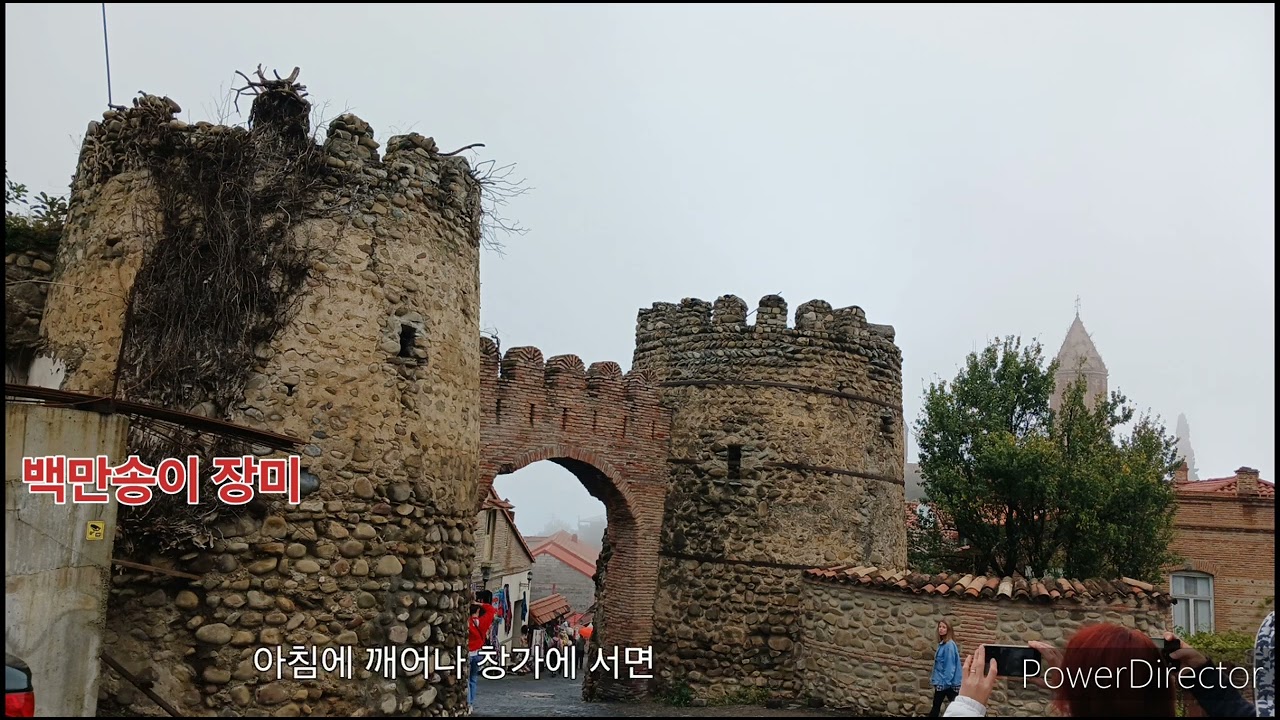 백만송이 장미(원곡 가사)/ 조지아 시그나기(사랑의 도시) 마을 풍경