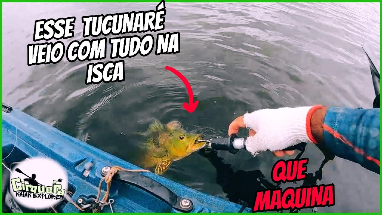 Esse tucunaré veio com tudo na isca.... Que máquina em !!
