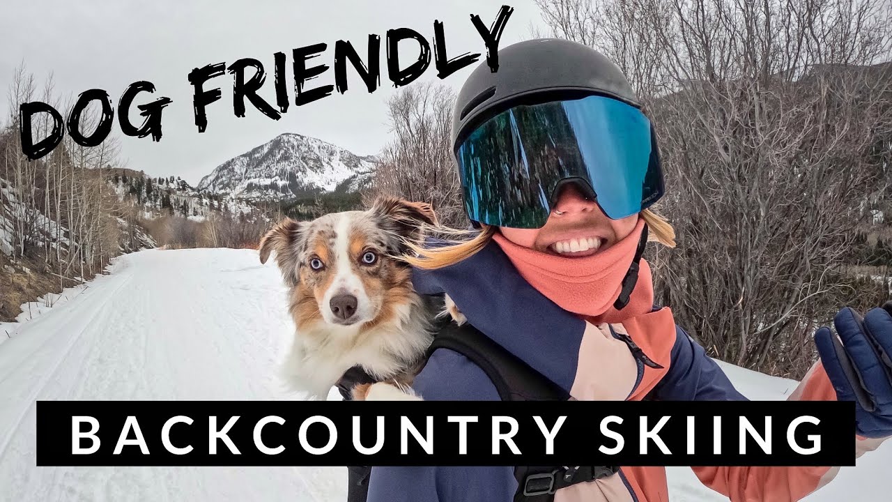 WINTER VLOG | Dog-friendly backcountry skiing! Layering tips + Adventure Vlog