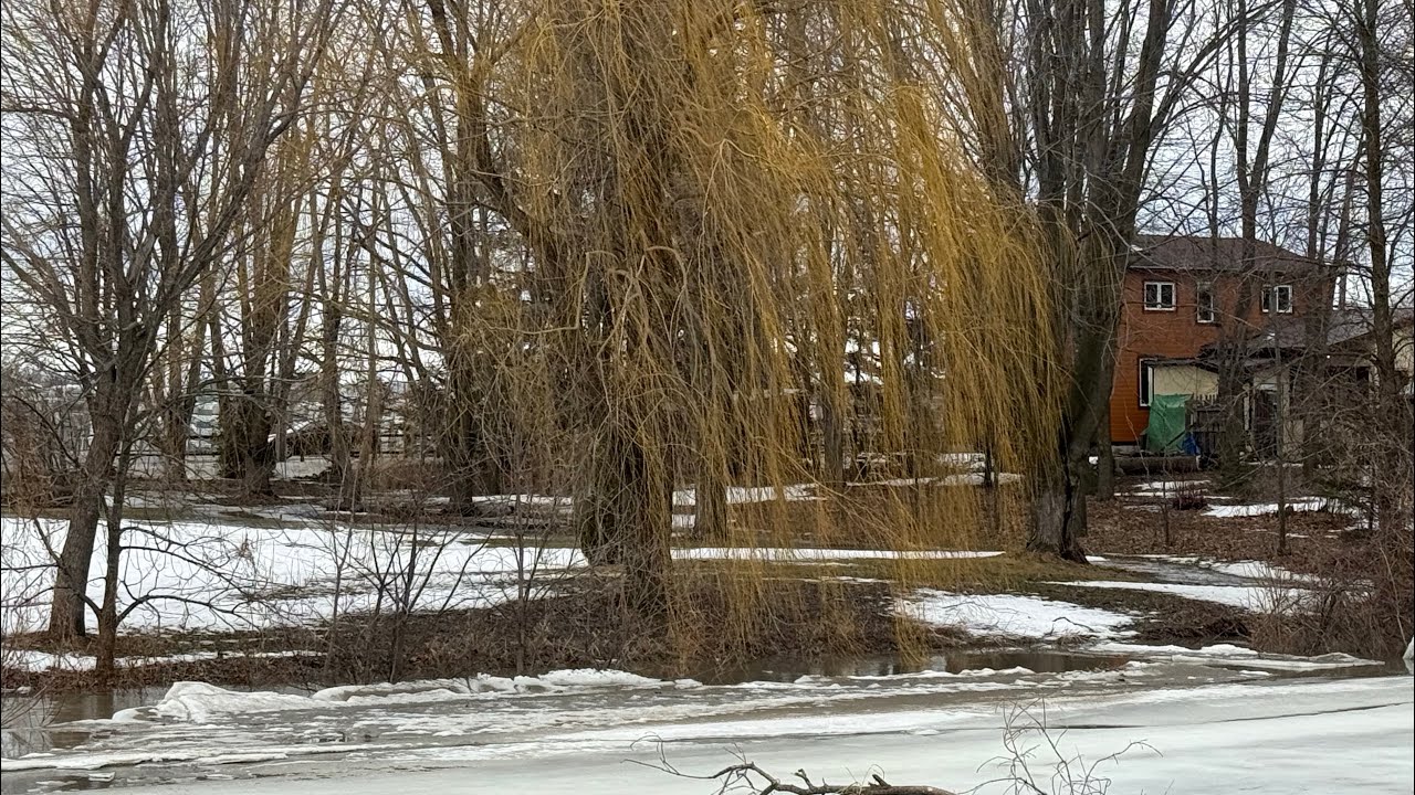 Flooding near my house