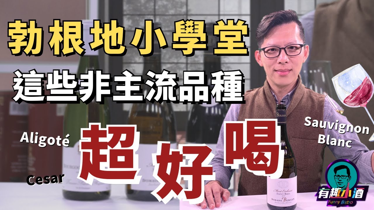 『有趣小學堂-勃根地第一趴』葡萄酒控不可不知！這些Bourgogne勃根地非主流品種超好喝！【有趣小酒 Funny Bistro】EP23