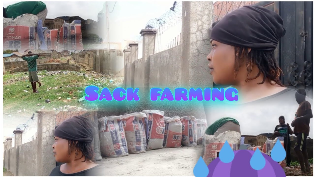 A day in the life of a small farmer|| Sack farming in the compound 