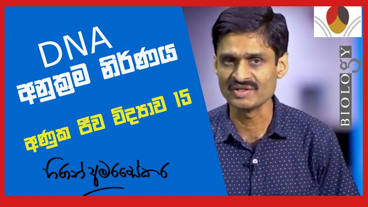 A/L Molecular Biology - 15 DNA  අණුක්‍රම නිර්ණය DNA Sequencing - Prof Hiran Amarasekera