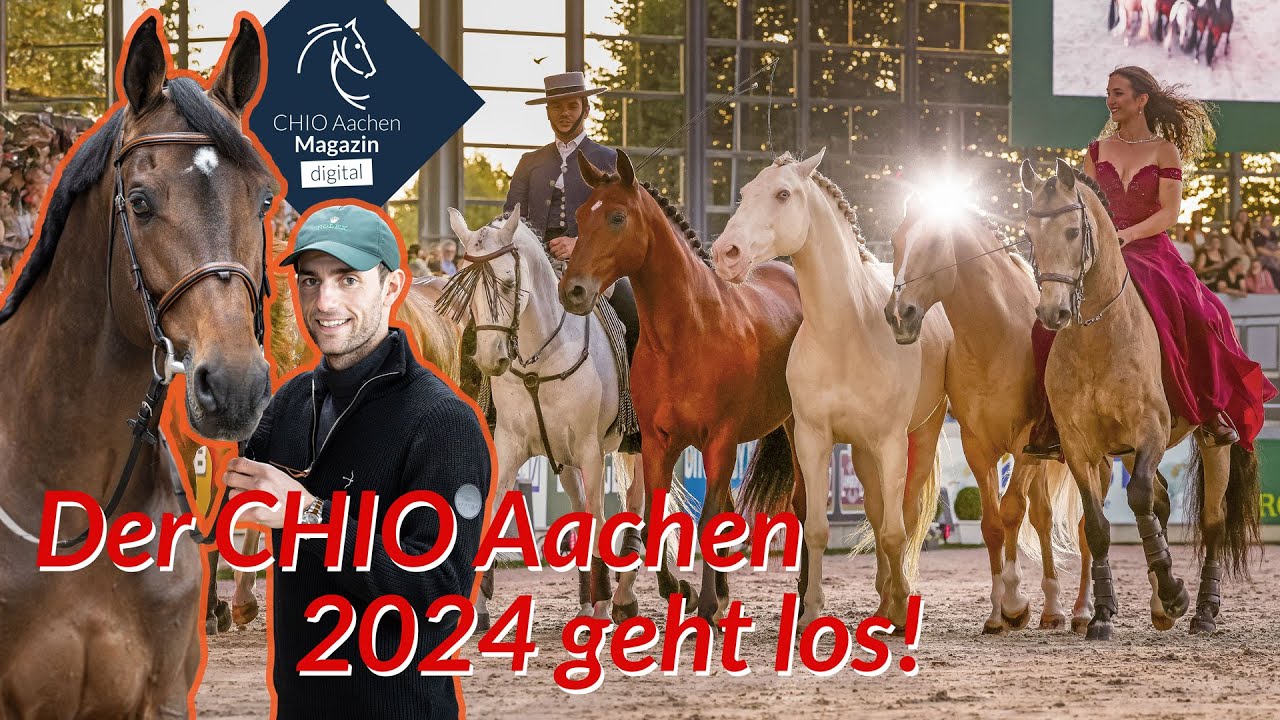Richard Vogel mit Olympiapferd in Aachen 🤩 Showstar Kenzie Dysli im Pferdeglück🐴 Stallteam in Action