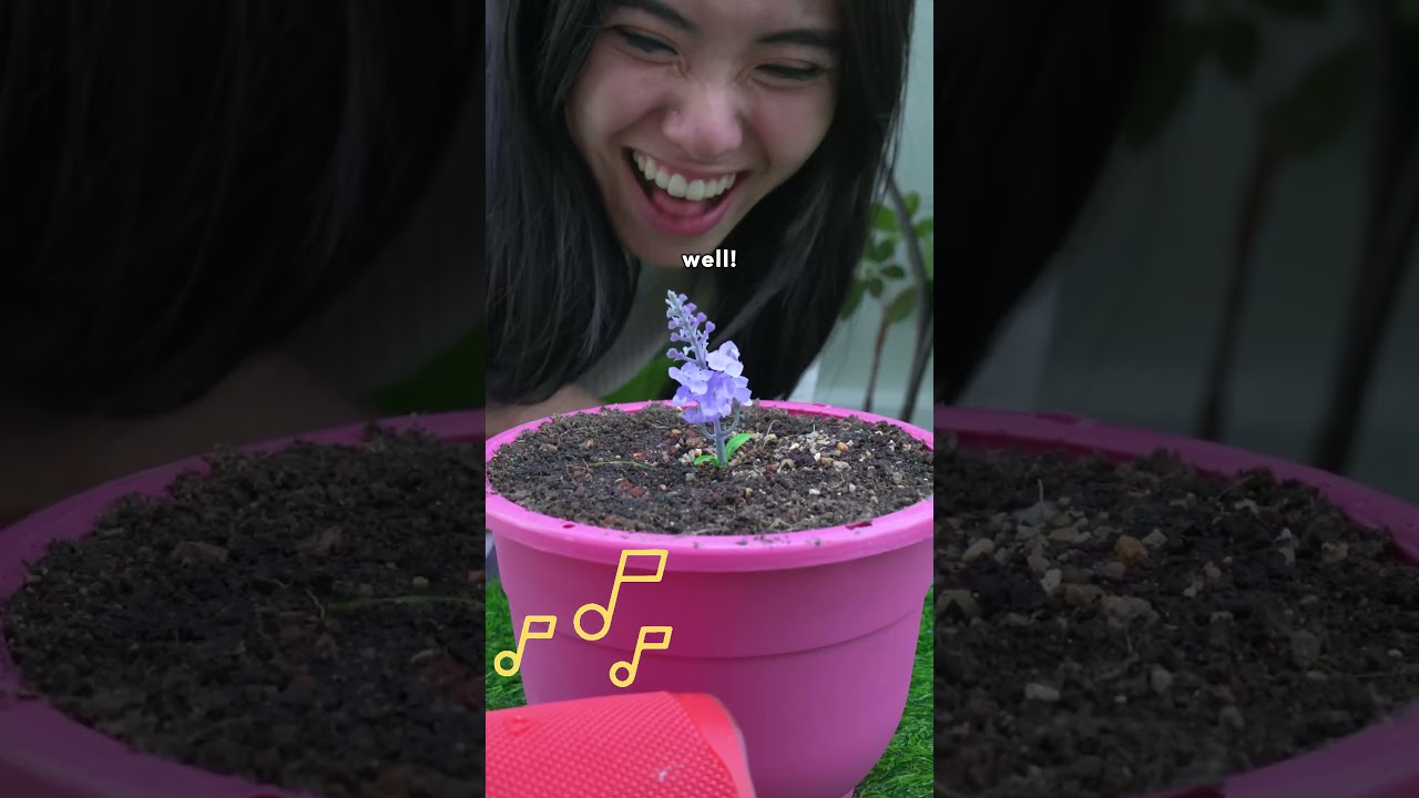 Grow a Garden Competition