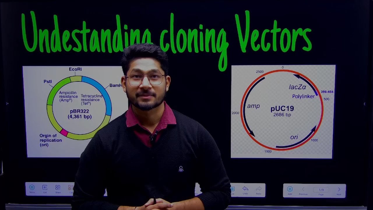 Understanding Cloning Vectors - pBR322 & pUC19