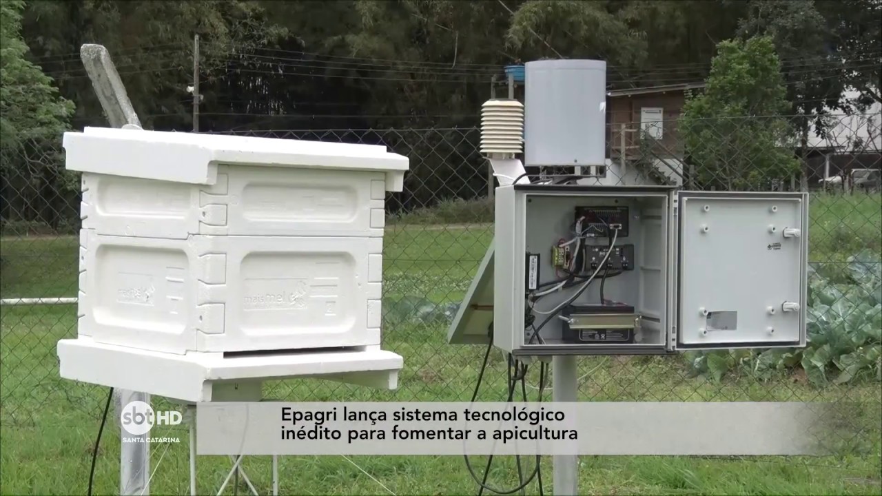Epagri lança sistema tecnológico inédito para fomentar a apicultura