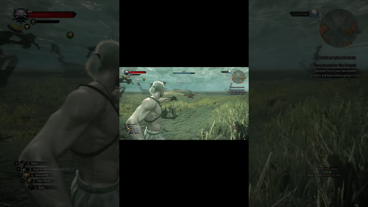 LEVEL UP FAST THE WITCHER 3 Wild Hunt XP GLITCH LEVEL 1 - 100