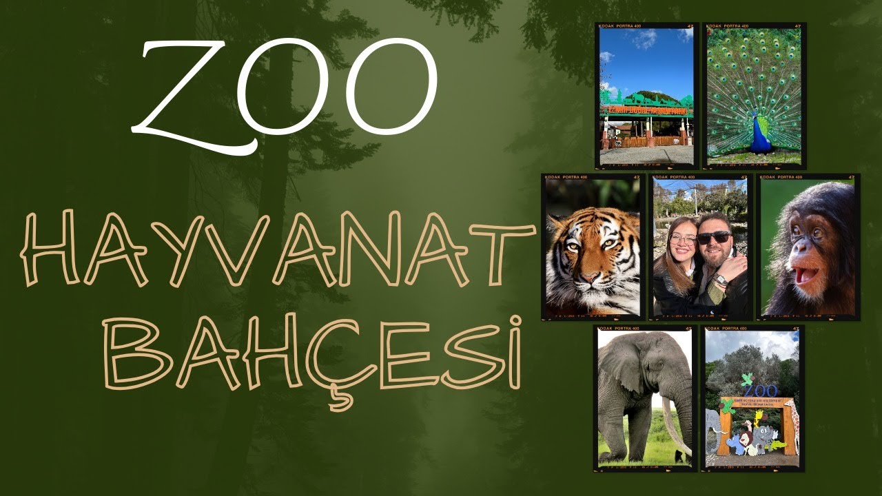 Hayvanat Bahçesi | Zoo, Maymunlar Cehennemi
