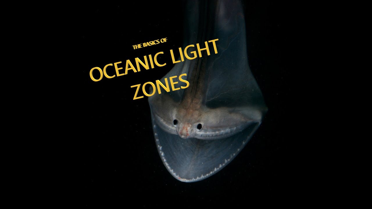 Oceanic Light Zones