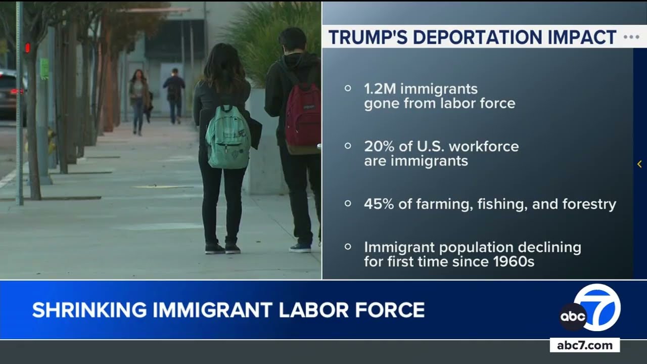 1.2 million immigrants are gone from the US labor force under Trump