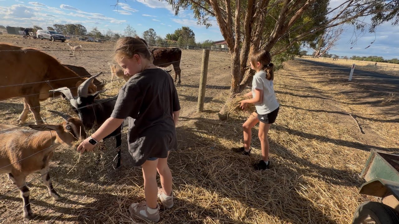 When Family Comes to the Farm Sanctuary