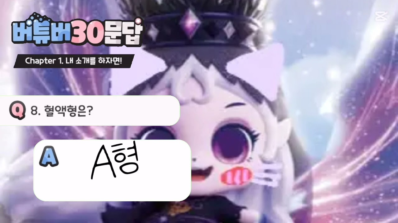 저 버튜버가 아니고 유튜버입니다