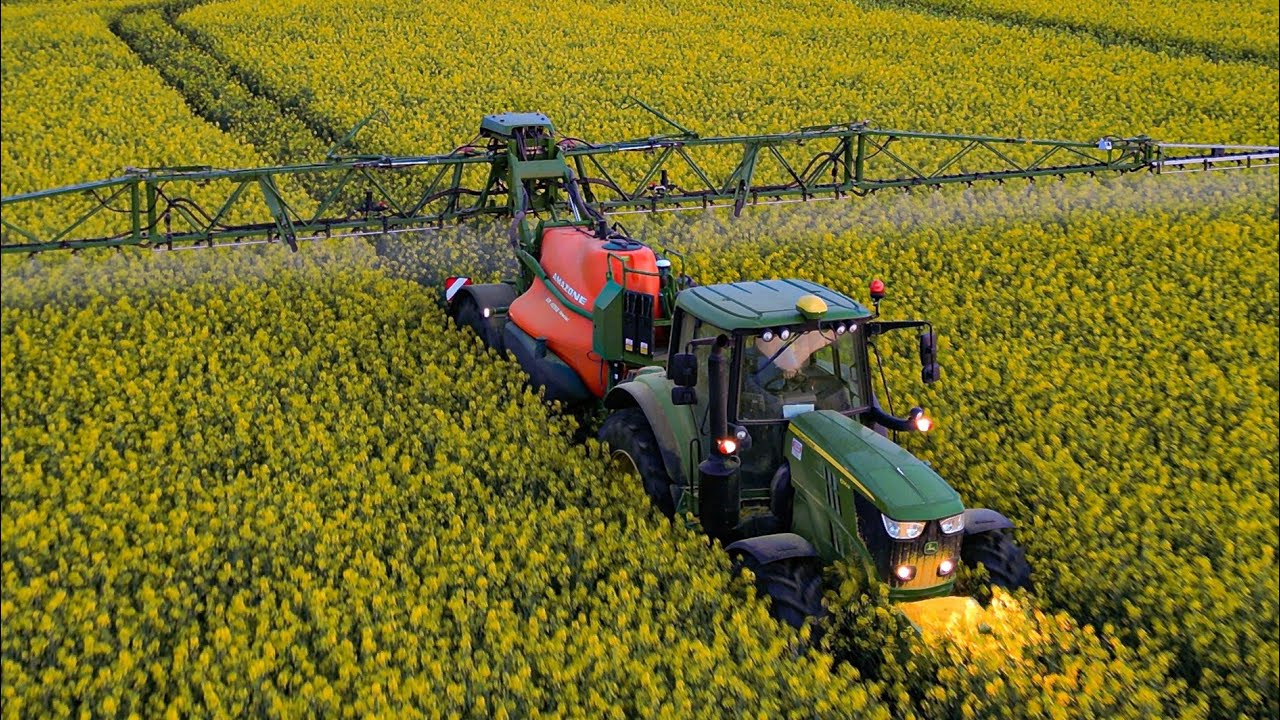 ✮Wieczorny Oprysk Rzepaku na Płatka | ✔ John Deere 6195M ✮ Amazone UX 4200✮