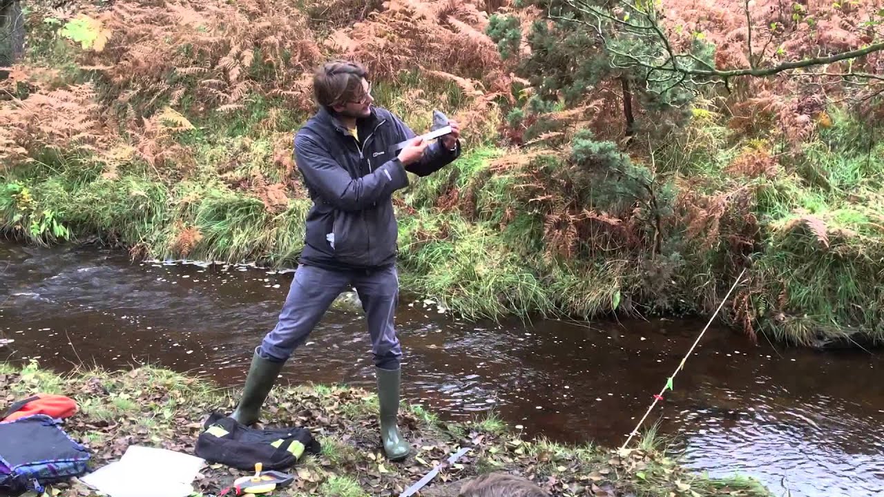 Measuring sediment size and roundness