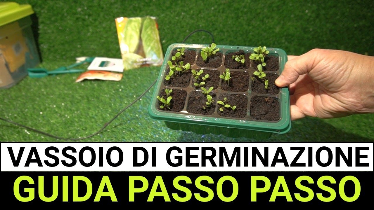 Dal SEME alla PIANTINA in 12 GIORNI: tutorial vaschette di germinazione LED per principianti!