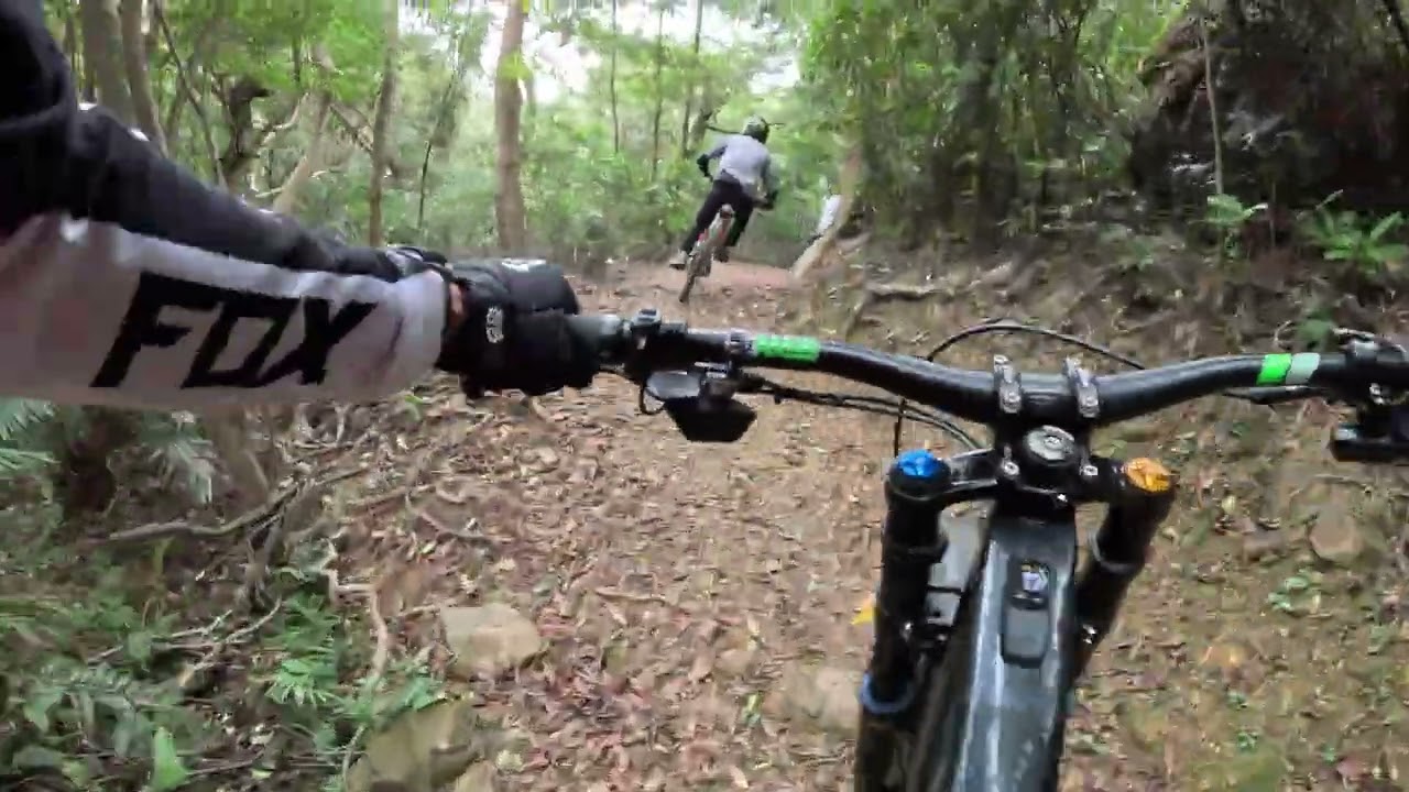 20260208  少爺仔今日精神