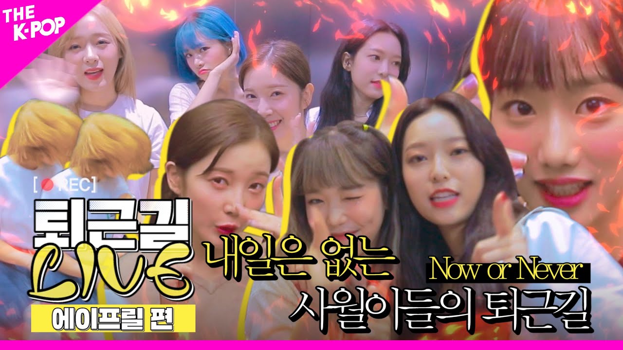 [퇴근길 LIVE]  Now or Never, 내일은 없는 에이프릴(April)의 퇴근길!
